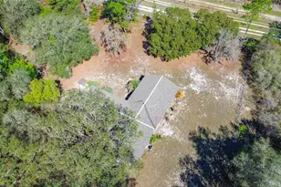 13455 NE 228 Ln Rd, Fort Mc Coy, FL 32134 - Photo 63
