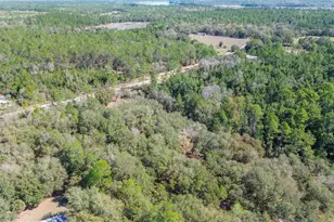 13455 NE 228 Ln Rd, Fort Mc Coy, FL 32134 - Photo 67