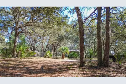 13455 NE 228th Lane Road, Fort Mc Coy, FL 32134 - Photo 5