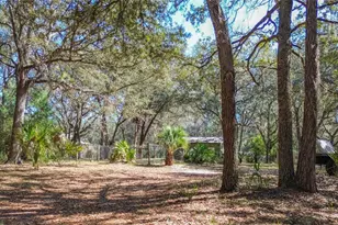 13455 NE 228 Ln Rd, Fort Mc Coy, FL 32134 - Photo 5
