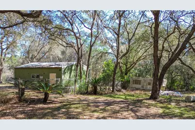 13455 NE 228th Lane Road, Fort Mc Coy, FL 32134 - Photo 7