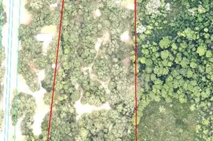 13455 NE 228 Ln Rd, Fort Mc Coy, FL 32134 - Photo 1