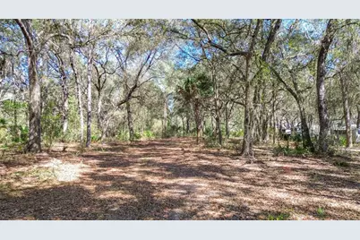 13455 NE 228th Lane Road, Fort Mc Coy, FL 32134 - Photo 61