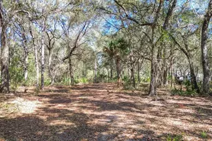 13455 NE 228 Ln Rd, Fort Mc Coy, FL 32134 - Photo 61