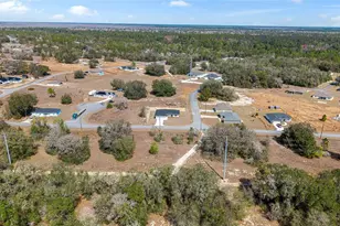 49 Locust Loop Cir, Ocala, FL 34472 - Photo 45