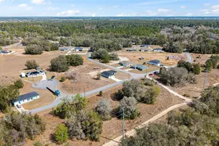 49 Locust Loop Cir, Ocala, FL 34472 - Photo 43