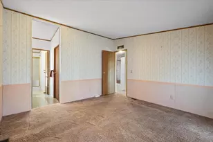 14430 E Levy St, Williston, FL 32696 - Photo 17