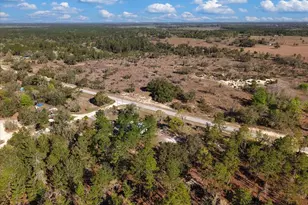 14430 E Levy St, Williston, FL 32696 - Photo 37