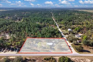 14430 E Levy St, Williston, FL 32696 - Photo 33