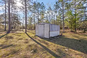 14430 E Levy St, Williston, FL 32696 - Photo 29