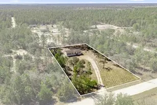 14650 SE 6 Ln, Williston, FL 32696 - Photo 7