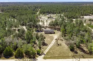 14650 SE 6 Ln, Williston, FL 32696 - Photo 9