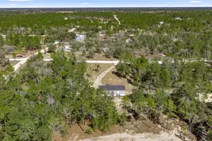 14650 SE 6 Ln, Williston, FL 32696 - Photo 11