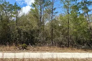 Tbd NE 110th Ct, Fort Mc Coy, FL 32134 - Photo 1