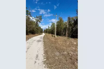 Tbd NE 110th Court, Fort Mc Coy, FL 32134 - Photo 5