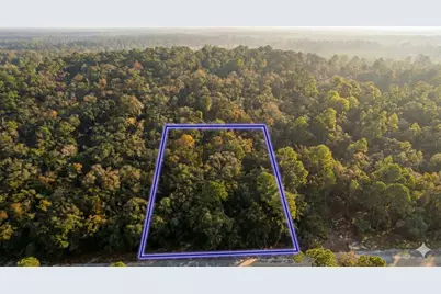 10230 Zigler Avenue, Hastings, FL 32145 - Photo 3