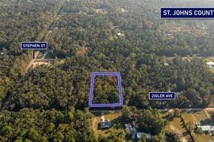 10230 Zigler Ave, Hastings, FL 32145 - Photo 1