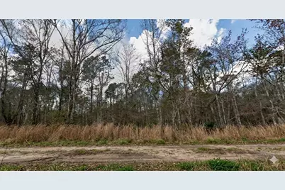 10335 Hennessey Avenue, Hastings, FL 32145 - Photo 3