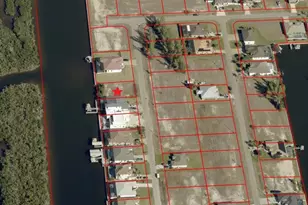 3002 NW 47th Ave, Cape Coral, FL 33993 - Photo 3