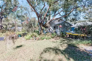 1013 E Chelsea St, Tampa, FL 33603 - Photo 19