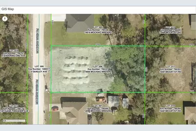 14606 Mocking Wren Road, Weeki Wachee, FL 34614 - Photo 5