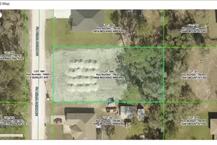 14606 Mocking Wren Rd, Weeki Wachee, FL 34614 - Photo 5