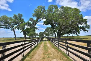 7970 SW 140th Ave, Dunnellon, FL 34432 - Photo 9