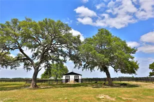 7970 SW 140th Ave, Dunnellon, FL 34432 - Photo 9