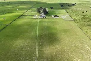 7970 SW 140th Ave, Dunnellon, FL 34432 - Photo 11