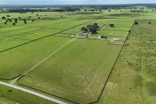 7970 SW 140th Ave, Dunnellon, FL 34432 - Photo 23