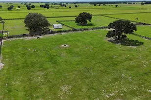 7970 SW 140th Ave, Dunnellon, FL 34432 - Photo 37