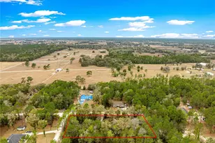 4551 SW 129th Ct, Ocala, FL 34481 - Photo 29