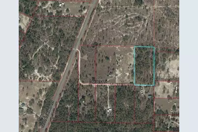 Tbd SE 71 Street, Morriston, FL 32668 - Photo 1