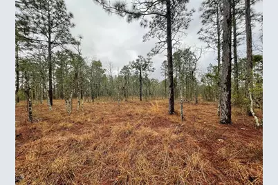 Tbd SE 71 Street, Morriston, FL 32668 - Photo 3