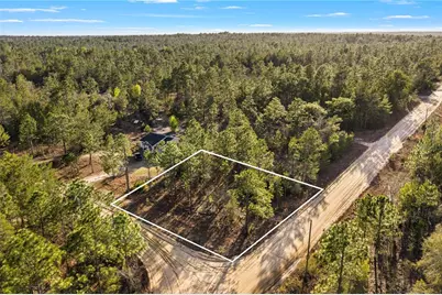 000 Rose Street, Interlachen, FL 32148 - Photo 9