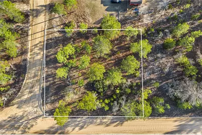 000 Rose Street, Interlachen, FL 32148 - Photo 11