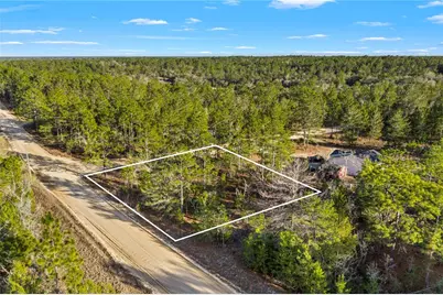 000 Rose Street, Interlachen, FL 32148 - Photo 3