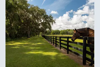 2875 NW 150 Avenue, Ocala, FL 34482 - Photo 29
