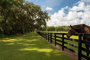 2875 NW 150th Ave, Ocala, FL 34482 - Photo 29