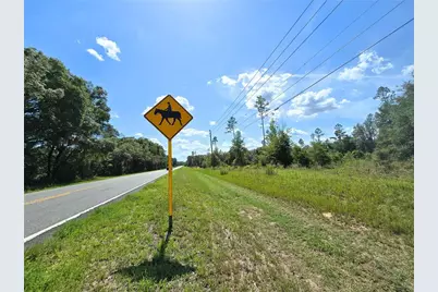 7158 N Lecanto Hwy Highway, Hernando, FL 34442 - Photo 11