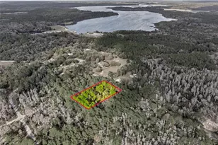 9694 N Cavewood Ave, Crystal River, FL 34428 - Photo 1