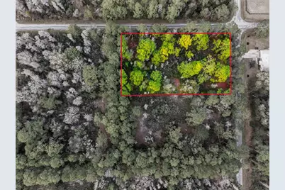 9694 N Cavewood Avenue, Crystal River, FL 34428 - Photo 19