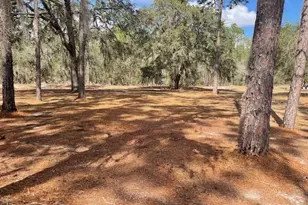 4060 SW 166th Ct, Ocala, FL 34481 - Photo 3