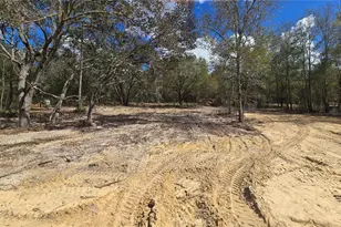 8541 NE 105th Ave, Bronson, FL 32621 - Photo 5