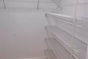 551 NE 61st Terrace, Ocala, FL 34470 - Photo 43