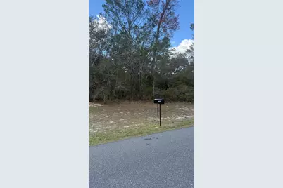 Tbd SW 40th Circle, Ocala, FL 34473 - Photo 3