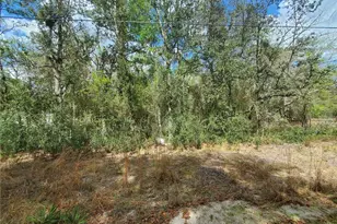 Tbd NE 172nd Pl, Fort Mc Coy, FL 32134 - Photo 1
