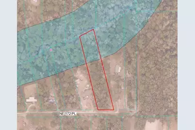 Tbd NE 172nd Place, Fort Mc Coy, FL 32134 - Photo 5