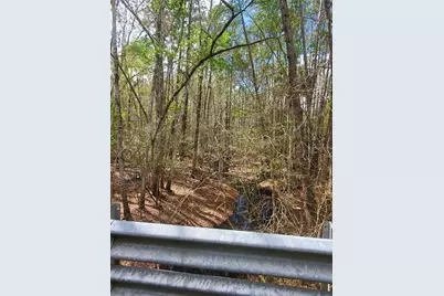 Tbd NE 172nd Place, Fort Mc Coy, FL 32134 - Photo 7