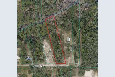 Tbd NE 172nd Place, Fort Mc Coy, FL 32134 - Photo 3